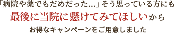 お得なキャンペーンを用意しました