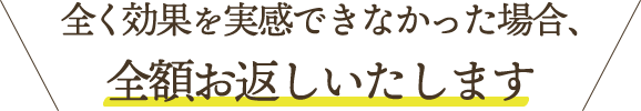 全額お返し